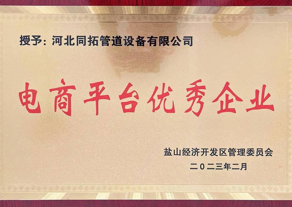 電商平台優秀（xiù）企業